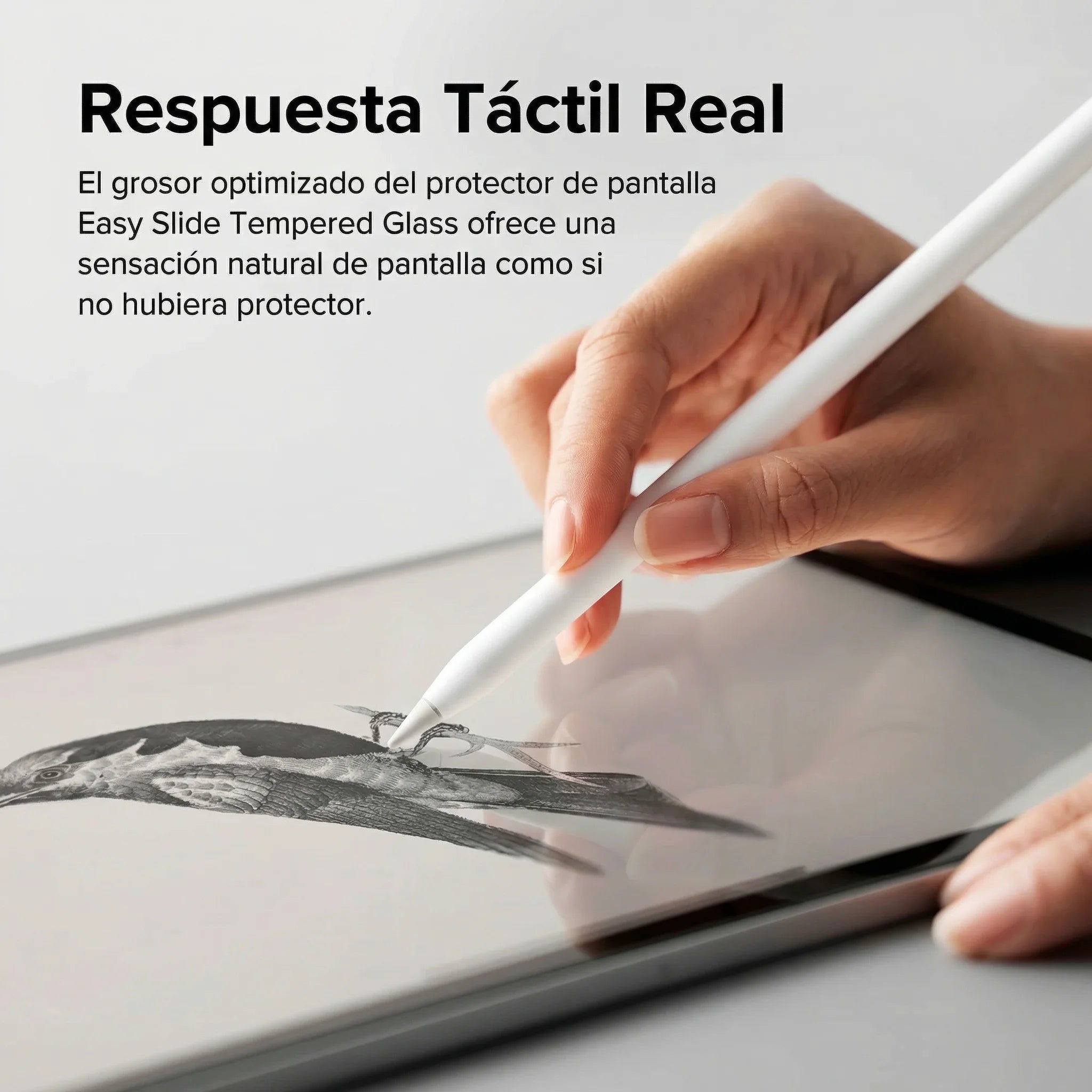 PROTECTOR DE PANTALLA RINGKE ID GLASS IPAD PRO 11' M5 M4 2025 2024 - 3