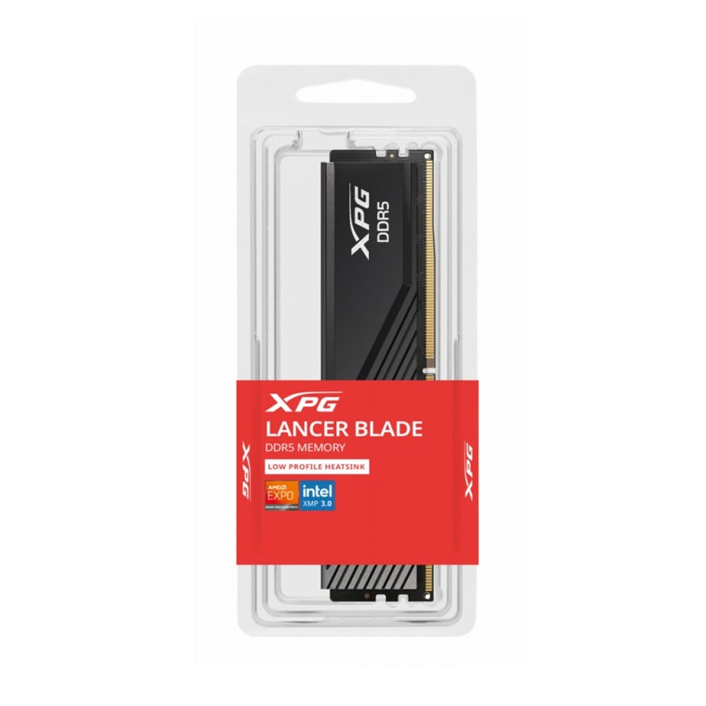 MEMORIA RAM XPG 8GB DDR5 5.60G - 1
