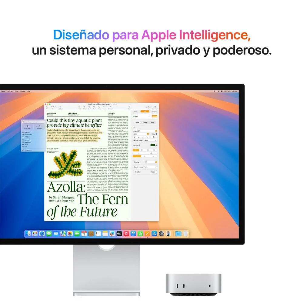 MAC MINI CHIP M4 16GB RAM + 256GB SSD 2024 - 4