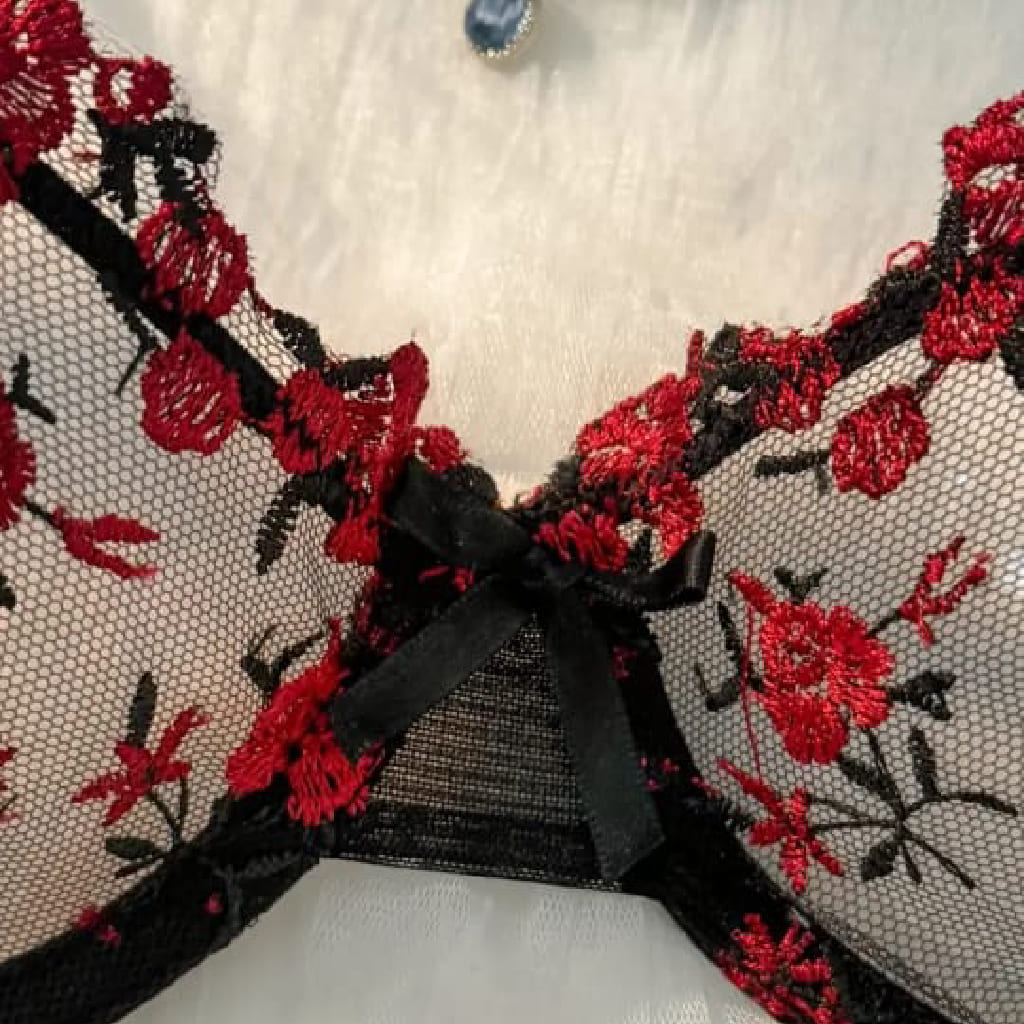 LENCERIA NEGRO BORDADO SEXY TANGA BRASIER SEXY CONJUNTOS DAMAS - 3