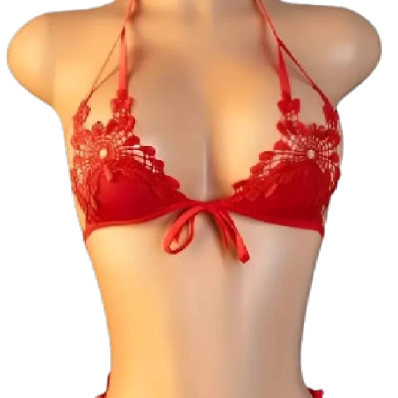 CONJUNTO LENCERÍA SEXY TANGA Y BRASIER DAMA - 5