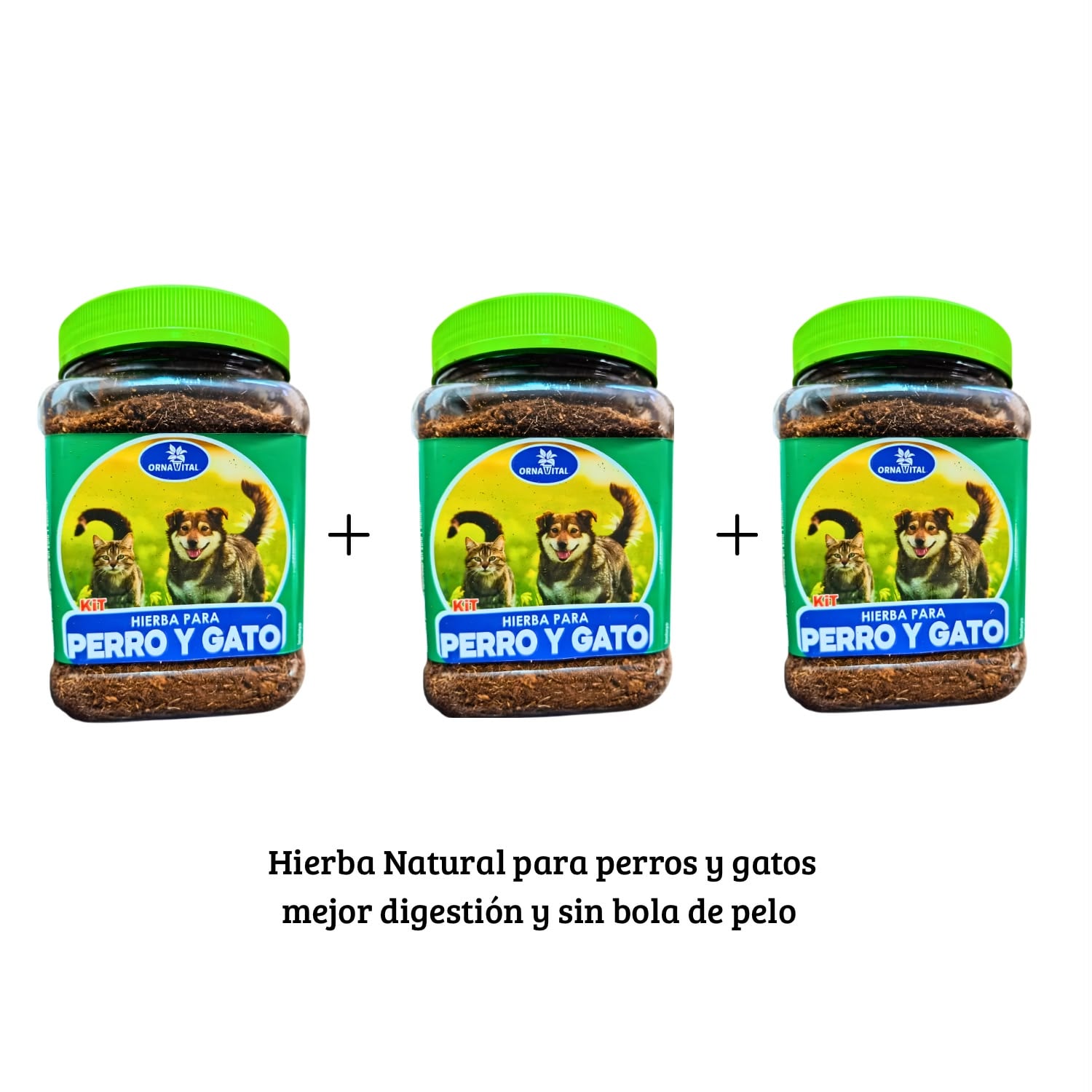 PACK 3 HIERBA NATURAL PARA PERRO Y GATO MEJOR DIGESTIÓN PREVIENE BOLA PELOS - 7