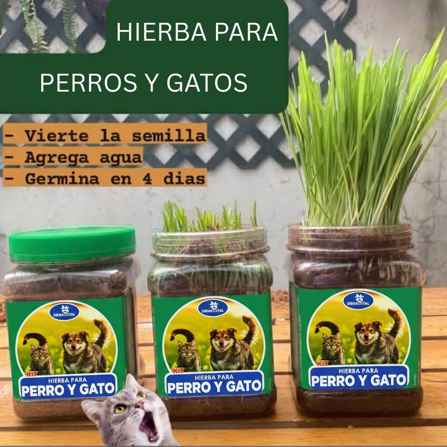HIERBA ORNAVITAL PARA GATOS Y PERROS MEJORA DIGESTIÓN Y PREVIENE BOLA PELOS - 2
