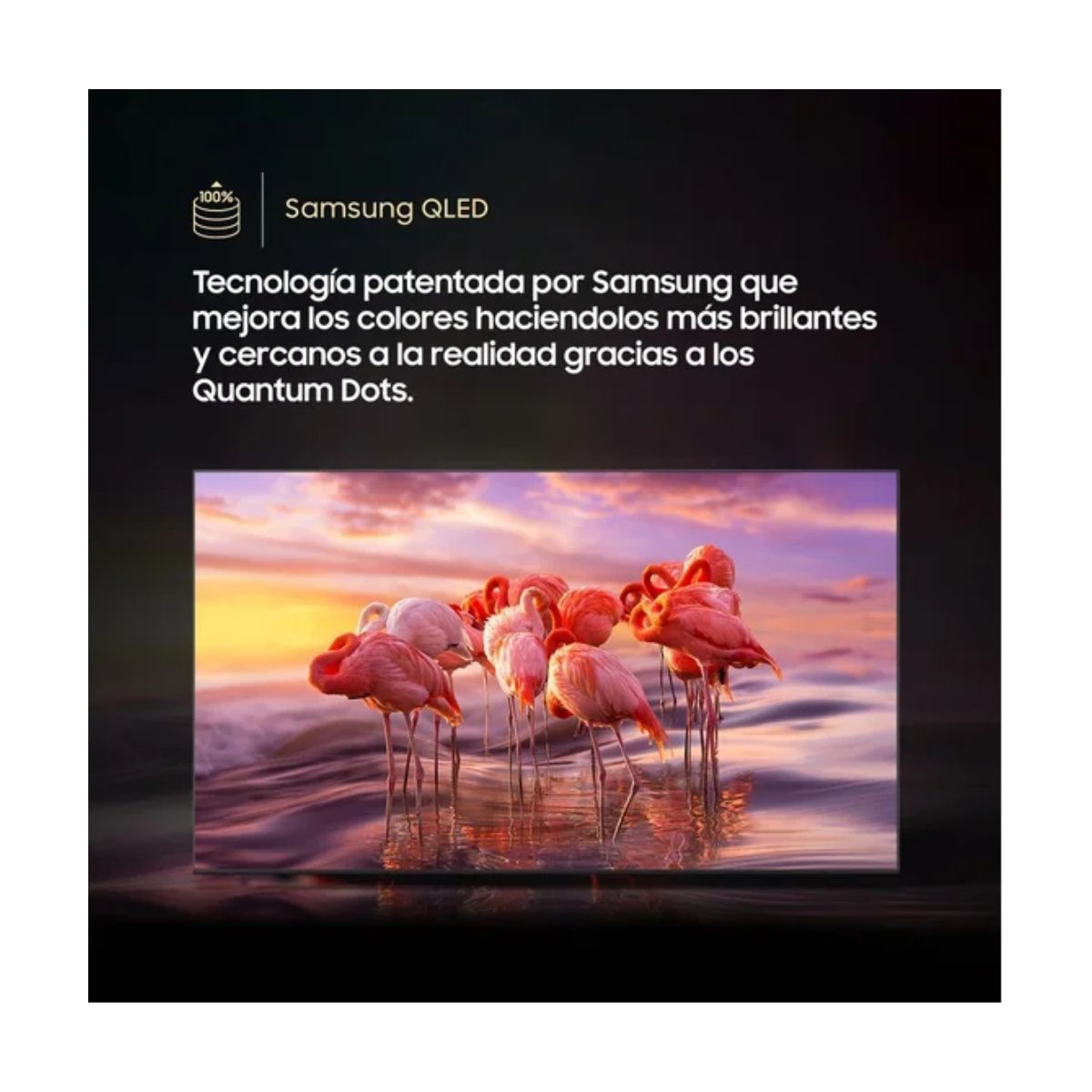 TELEVISOR 55'' SAMSUNG QLED UHD 4K VISION AI QN55Q7FAAGXPE 2025 + ANT + RACK FIJO - 5