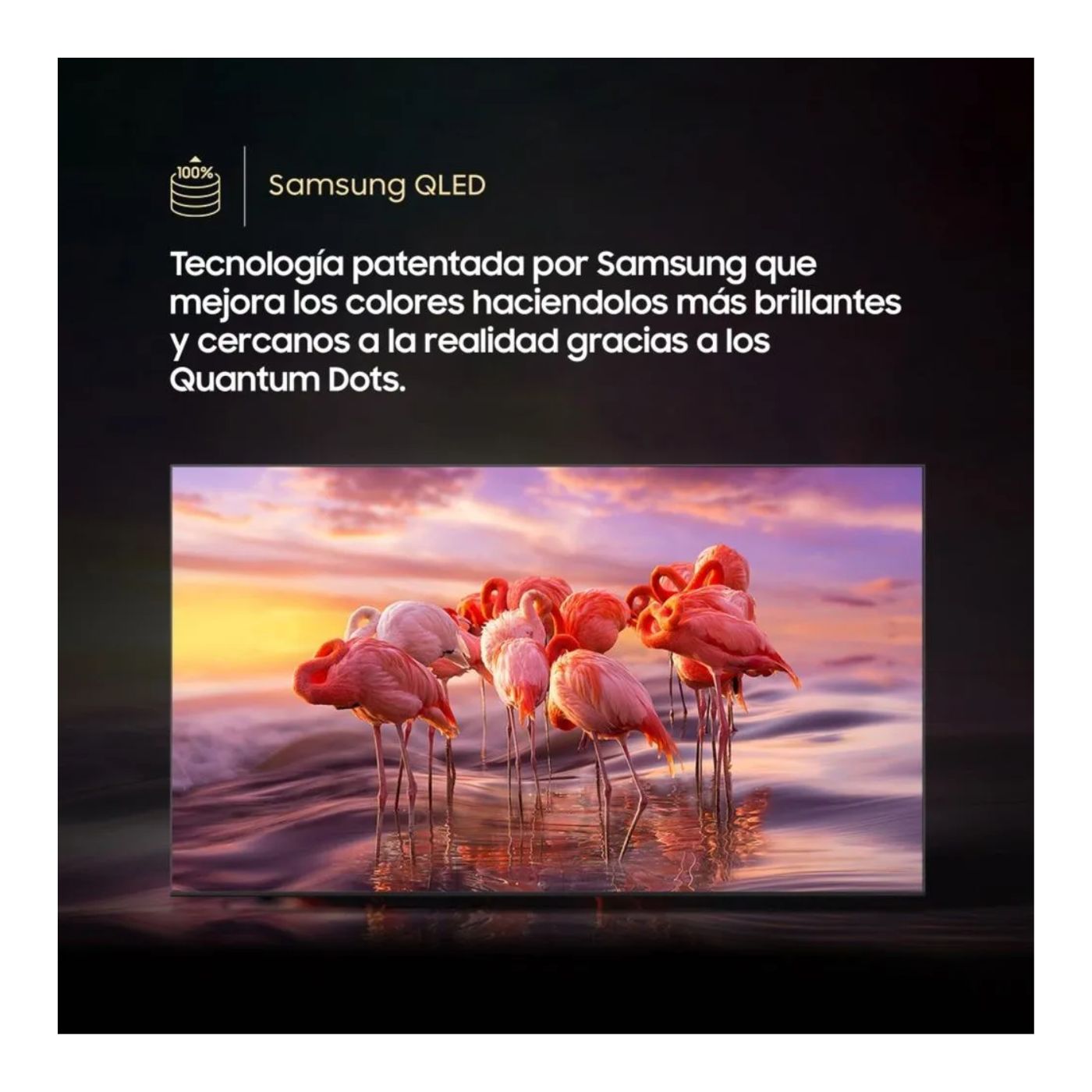TELEVISOR SMART TV SAMSUNG 65'' QLED UHD 4K QN65Q6FAAGXPE 2025 - 3