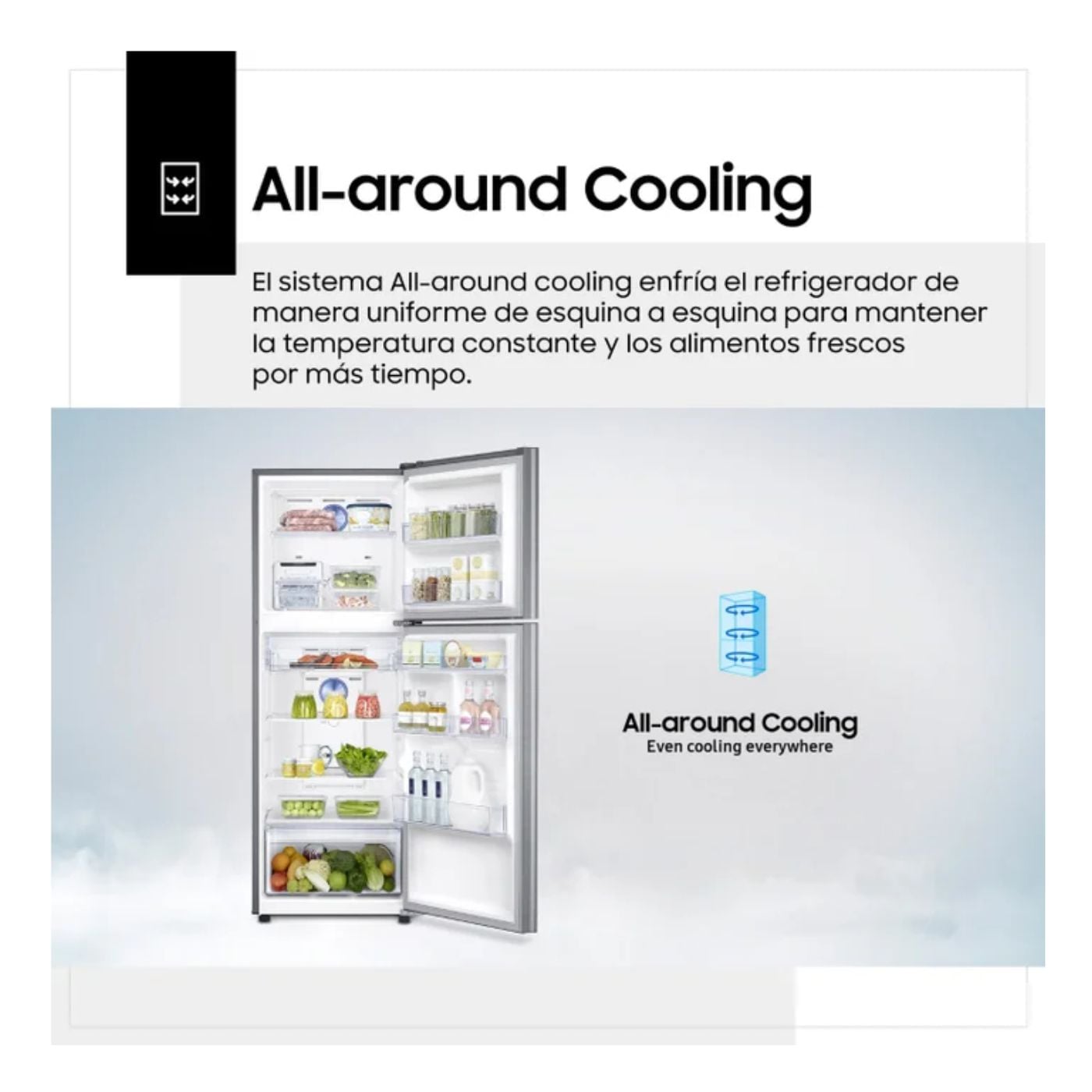 REFRIGERADORA SAMSUNG TOP MOUNT RT25FARADS8 255LT SILVER - 3