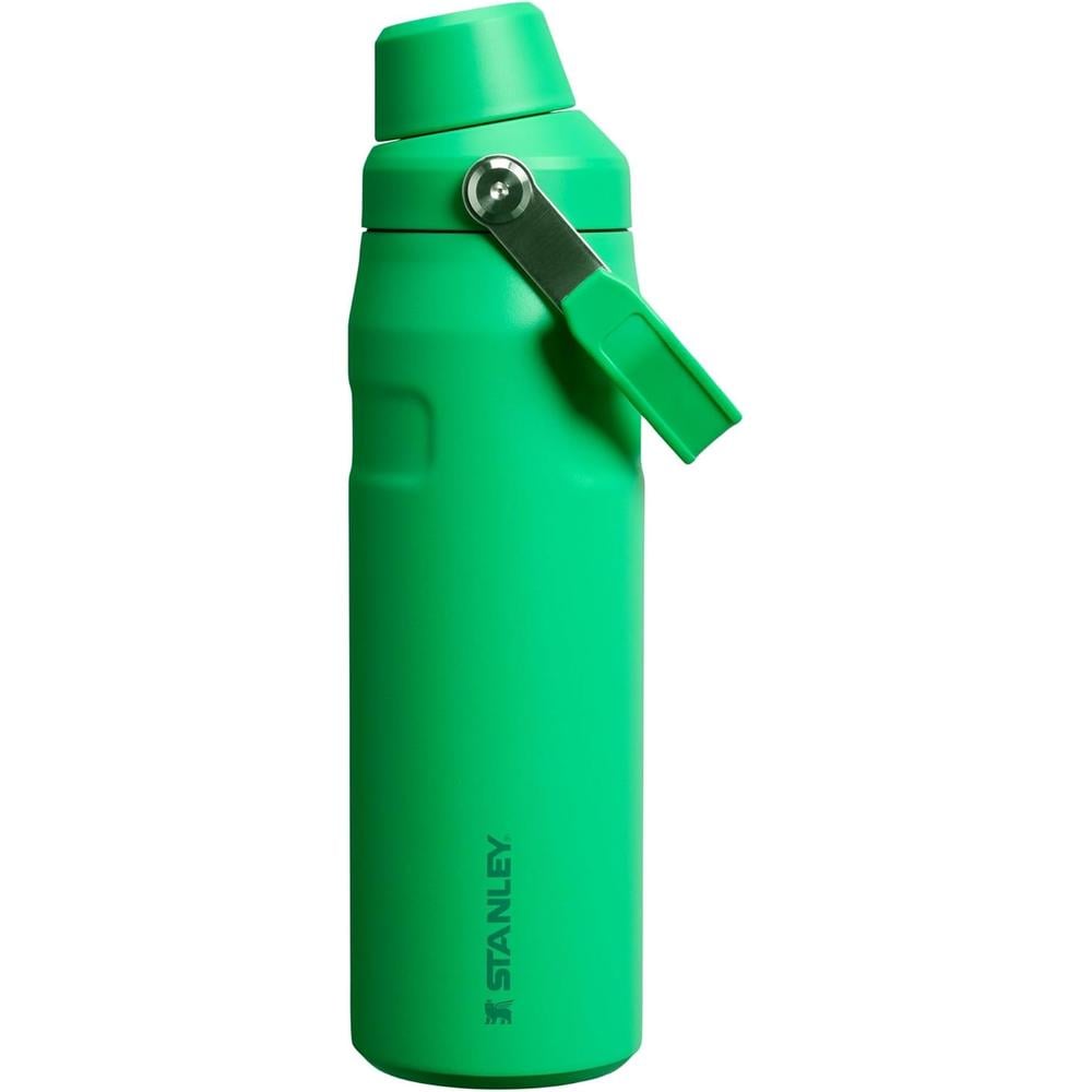 STANLEY ICEFLOW FAST FLOW 24 OZ | MEADOW