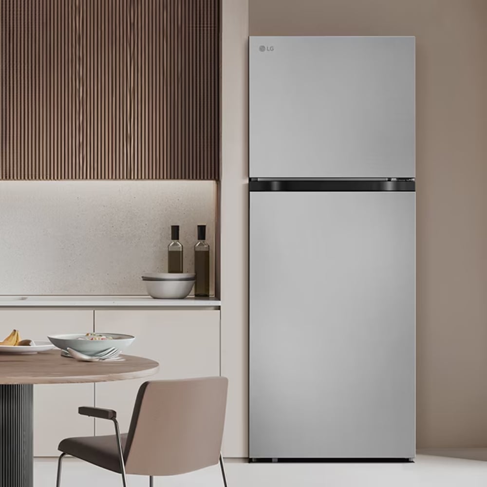 REFRIGERADORA 264LT LG COLOR GRIS OSCURO MOD VT26BPY - 9