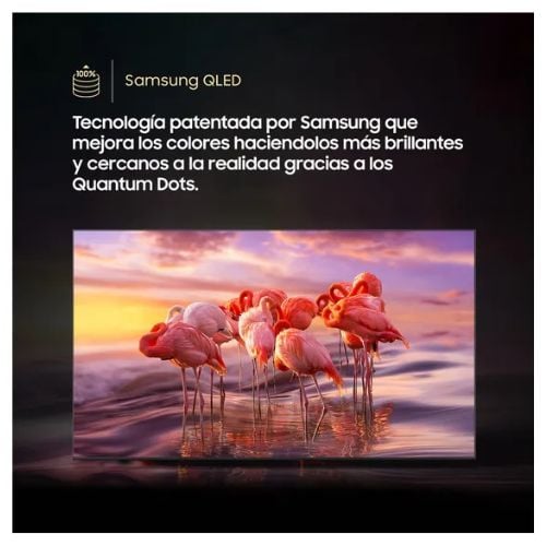 TELEVISOR SAMSUNG QLED 65'  UHD 4K Q8F VISION AI SMART TV + PARLANTE - 4