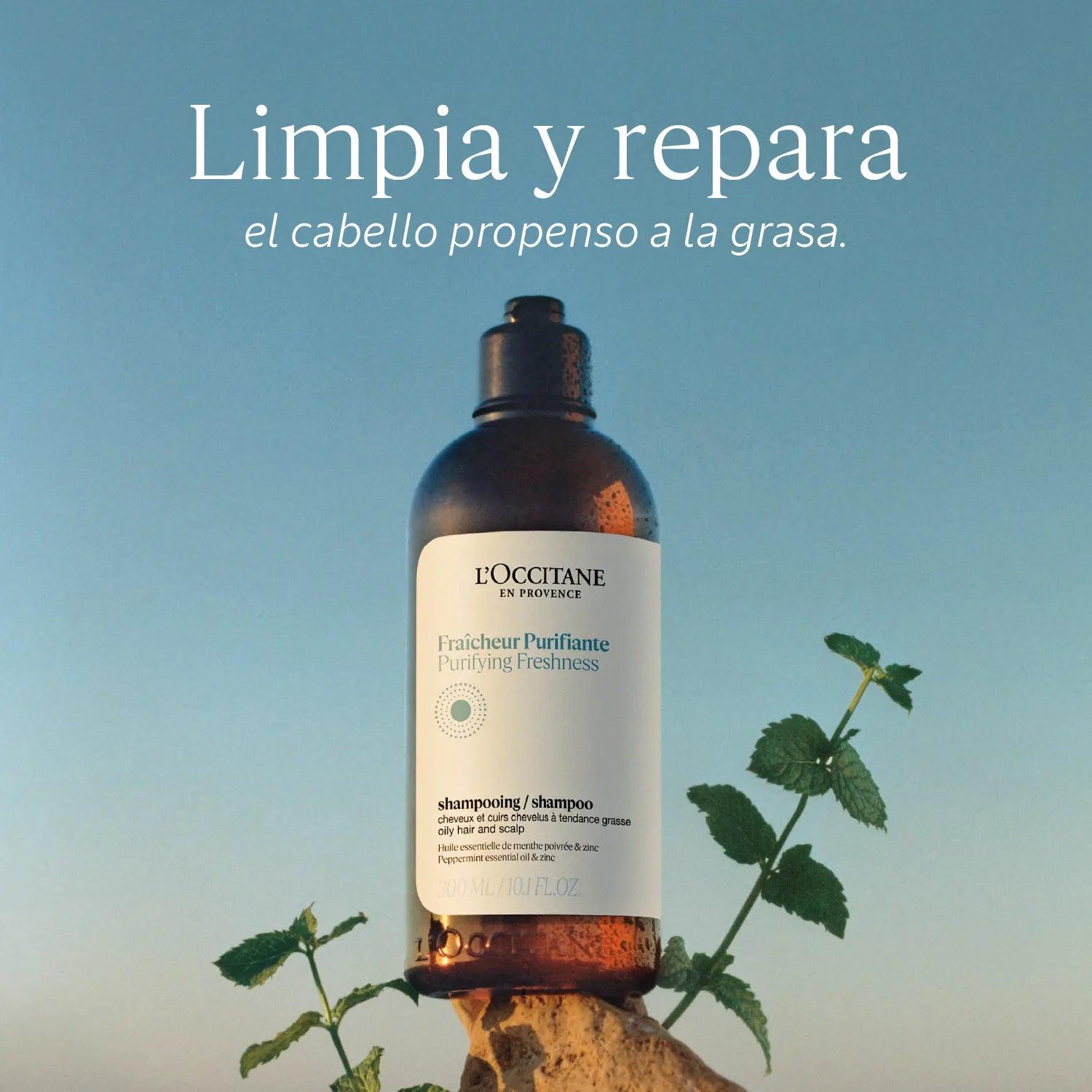 SHAMPOO PURIFICANTE PARA CABELLO GRASO 500 ML - 3