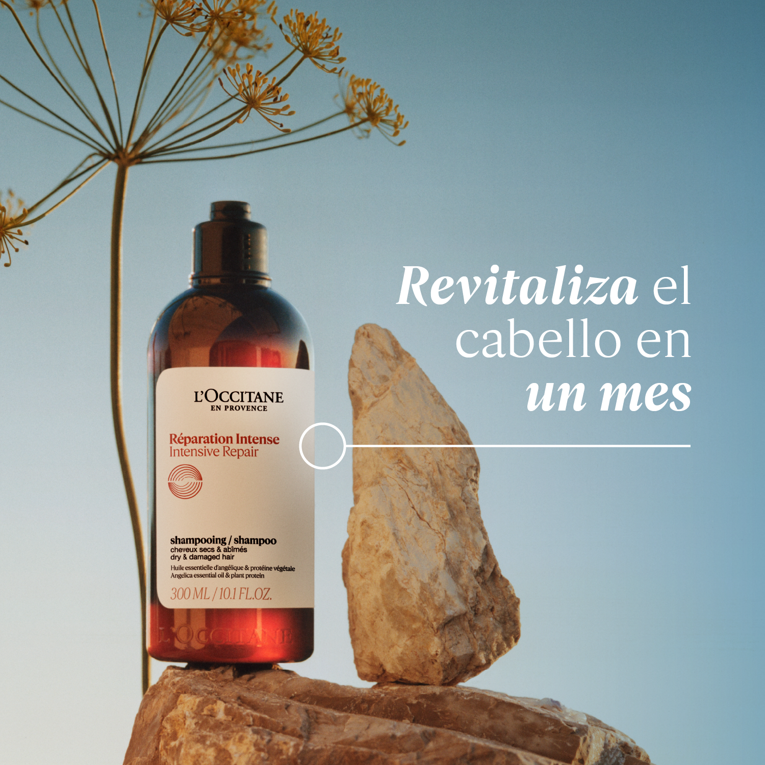 SHAMPOO REPARACIÓN INTENSA - 3