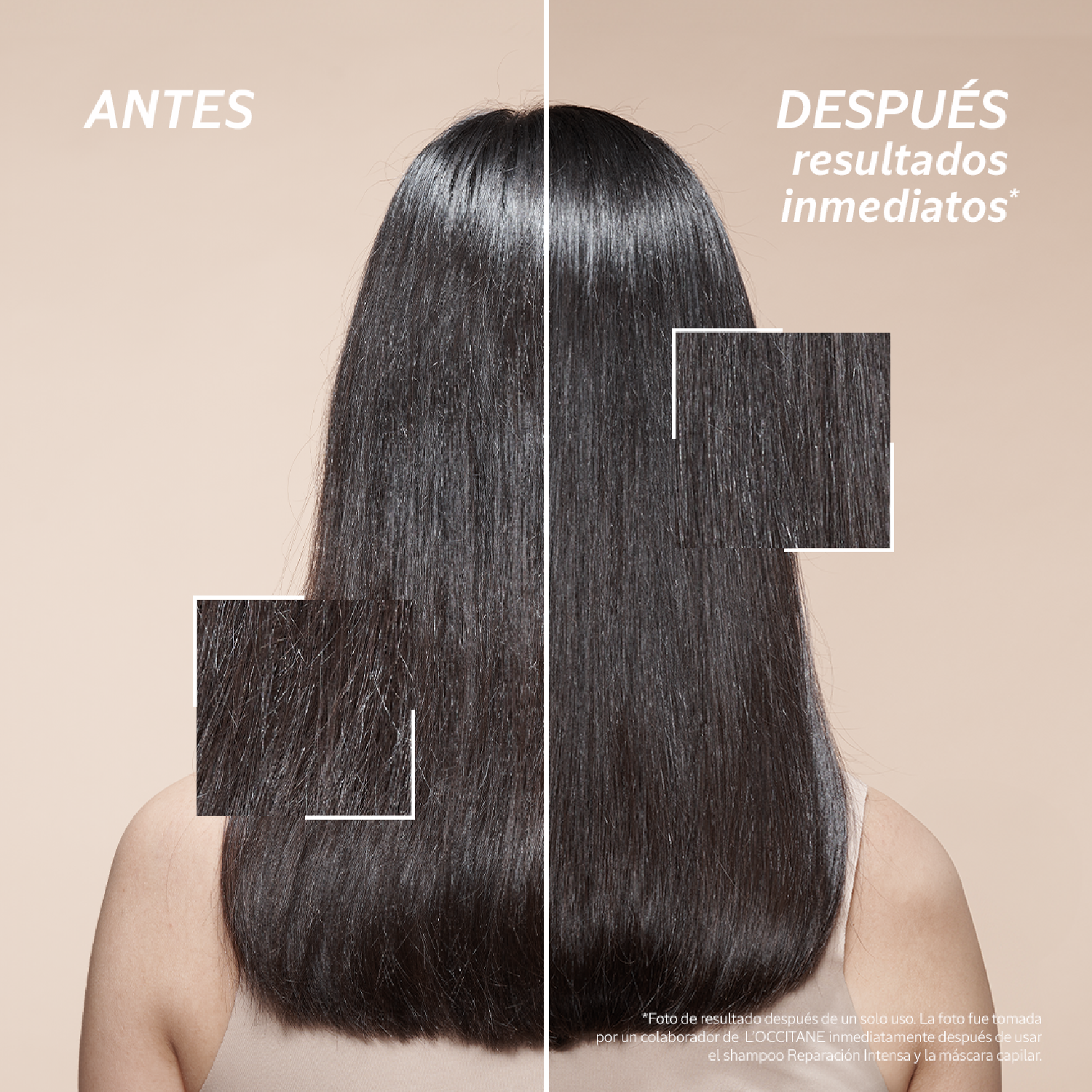 SHAMPOO REPARACIÓN INTENSA - 6