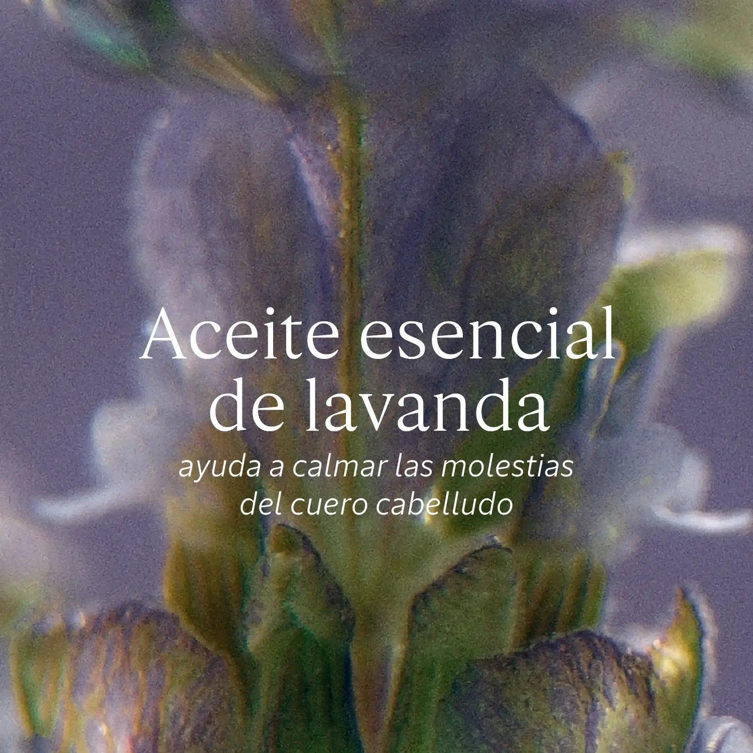 SHAMPOO SUAVIDAD Y EQUILIBRIO - 4