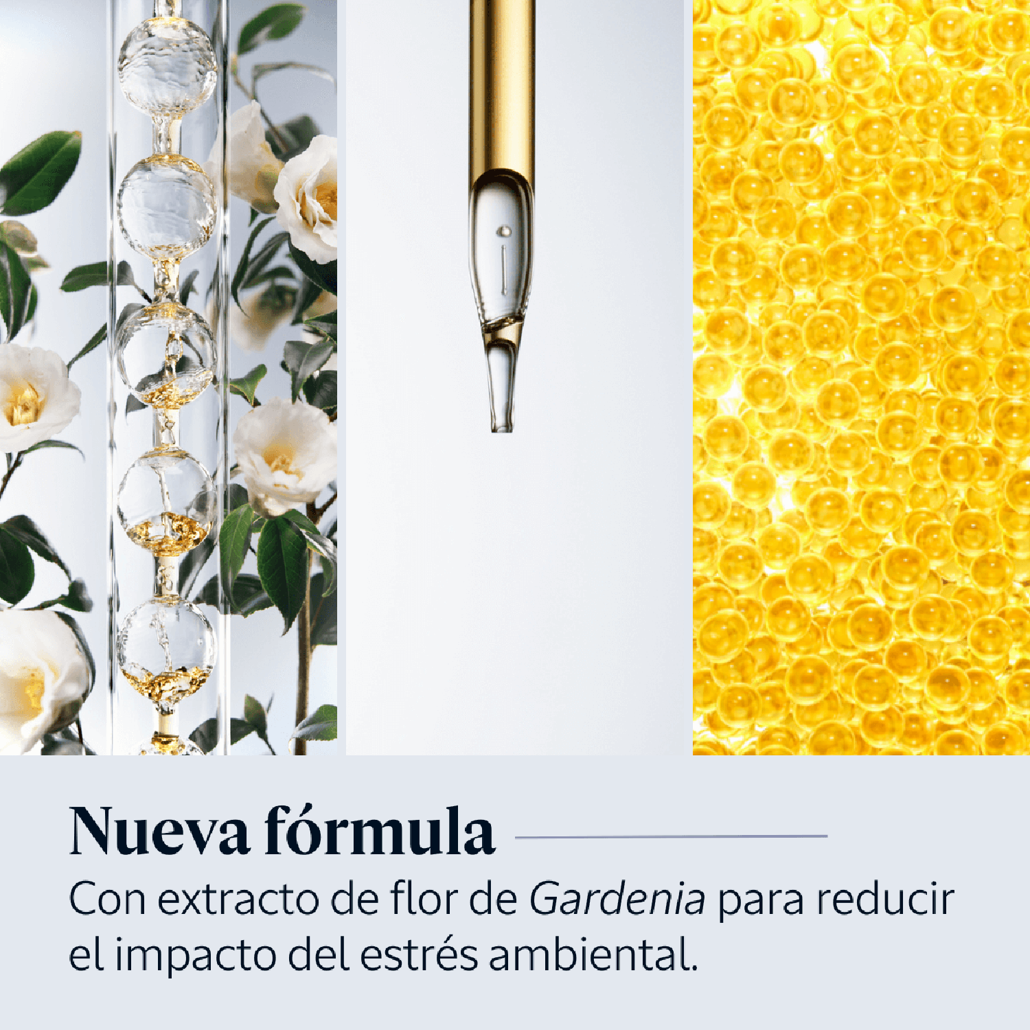 SÉRUM FACIAL IMMORTELLE OVERNIGHT RESET - 7