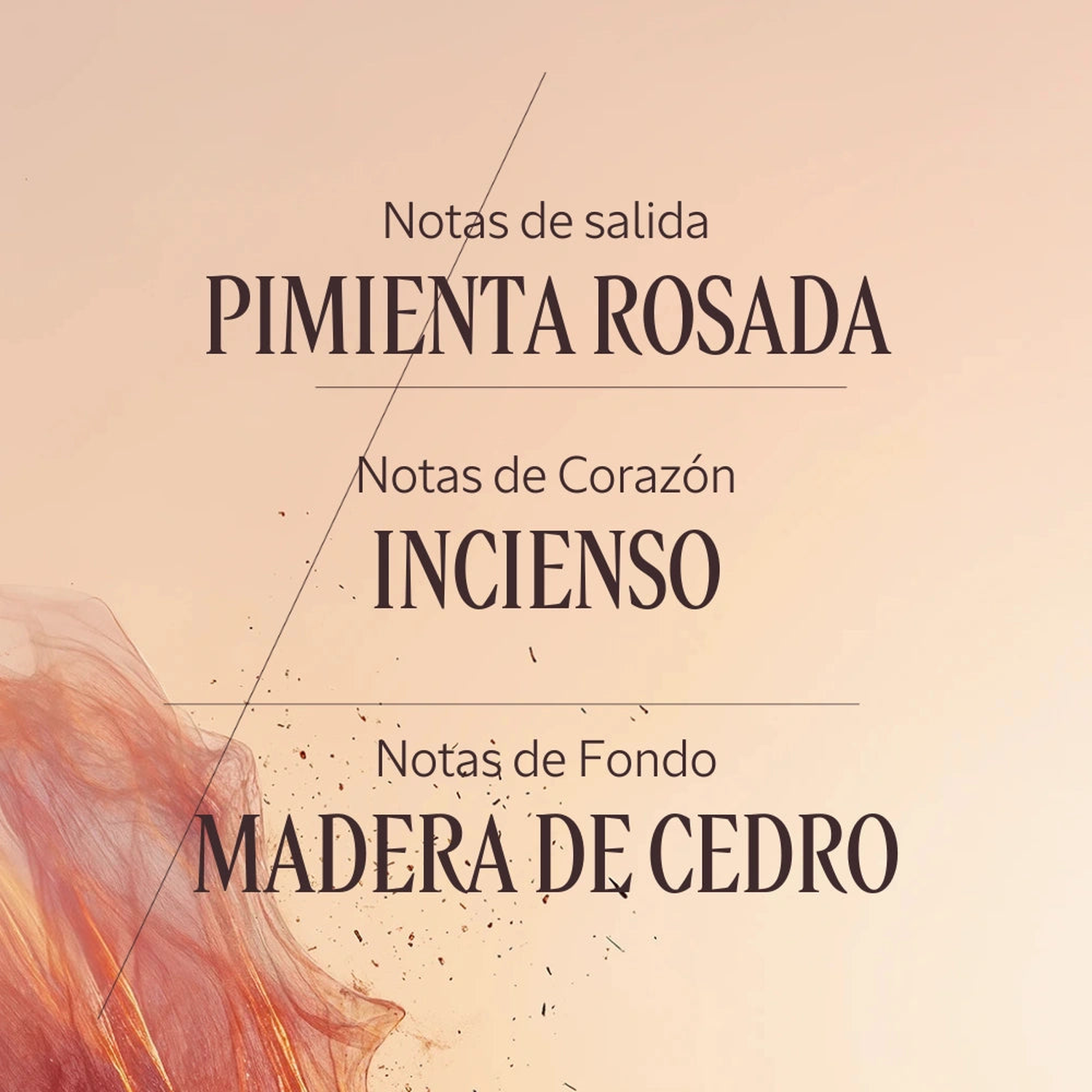 PERFUME PARA HOMBRE AMADEDARA CÈDRE ENCENS (BAUX) 50 ML - 4