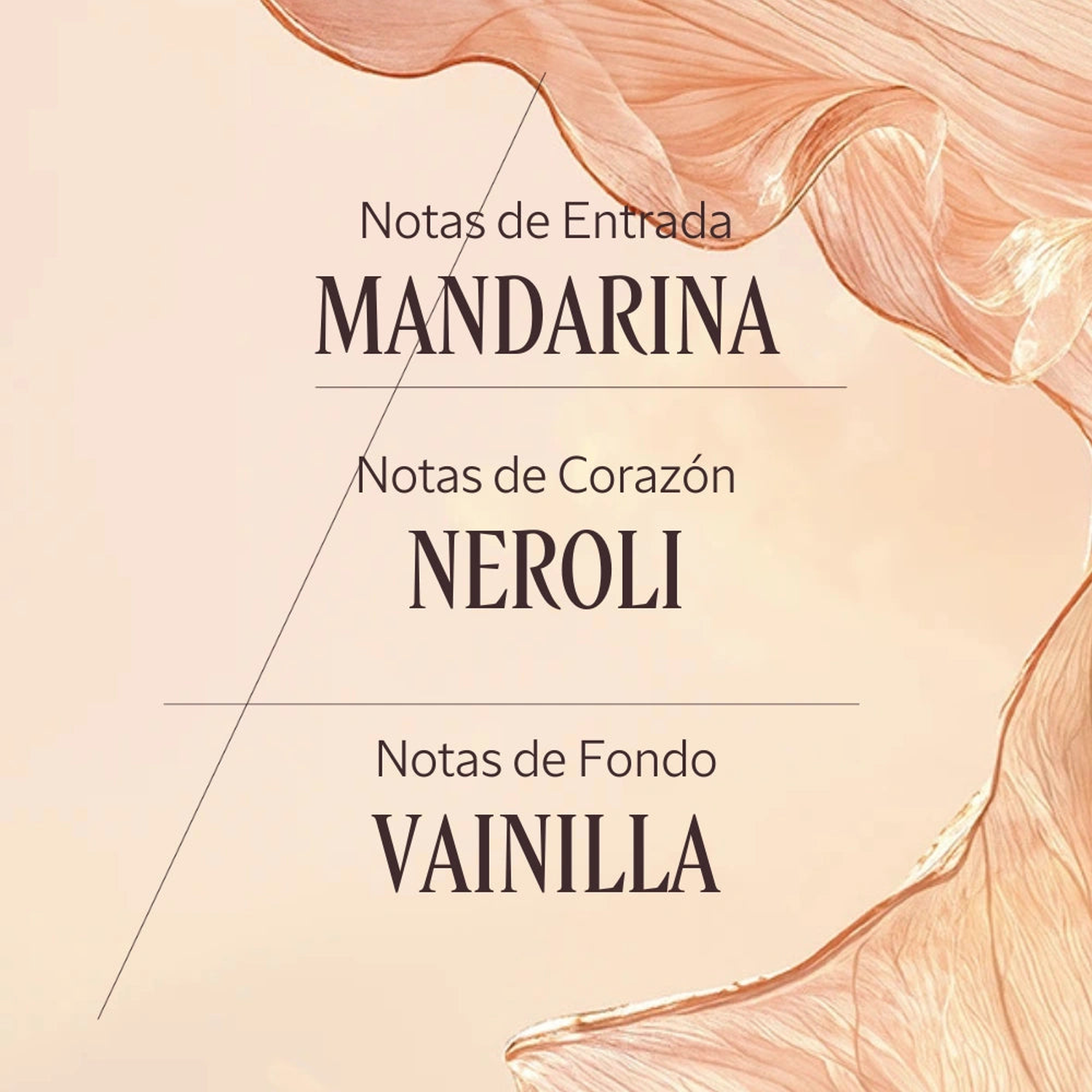 PERFUME FLORAL NÉROLI ORCHIDÉE EDT 50 ML - 4