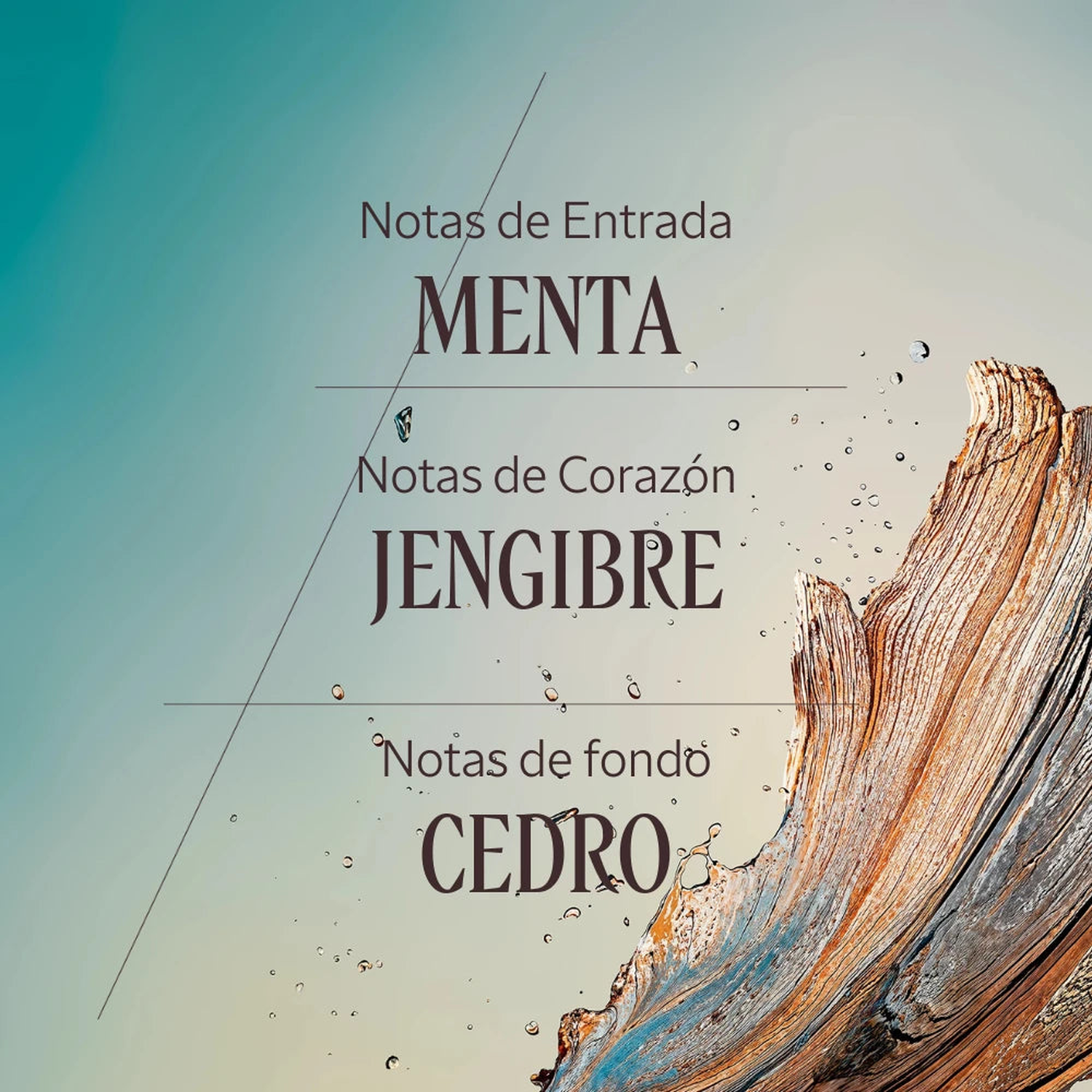 PERFUME FRESCO PARA HOMBRE CÈDRE GINGEMBRE (CAP CEDRAT) EDT 50 ML - 4
