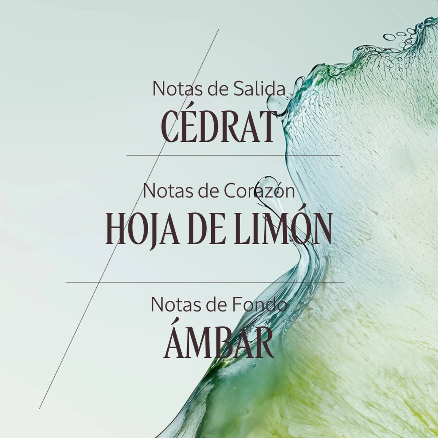 PERFUME CÍTRICO PARA HOMBRE CÉDRAT EDT 50 ML - 4