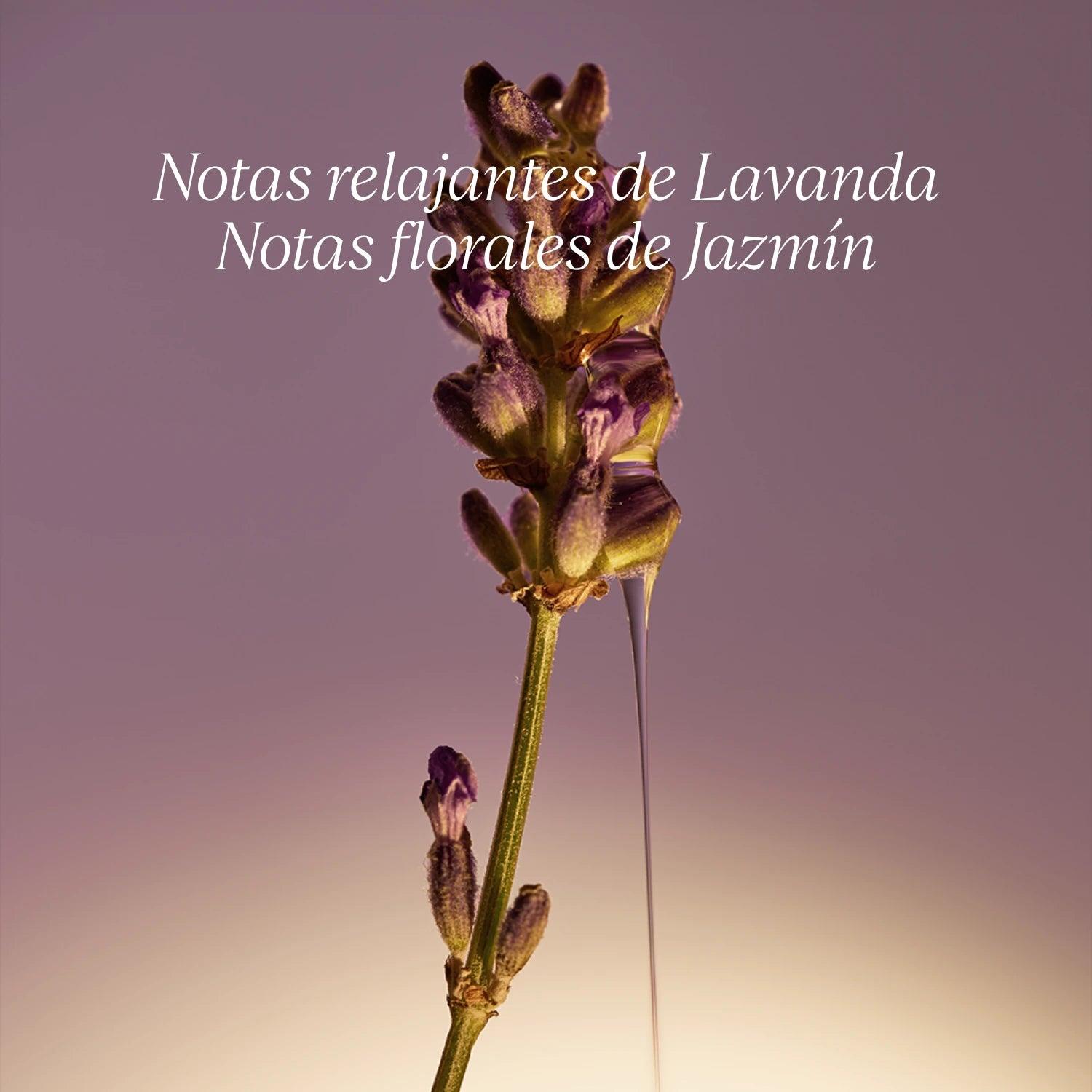 JABÓN EN BARRA KARITÉ LAVANDA 250 GR - 6