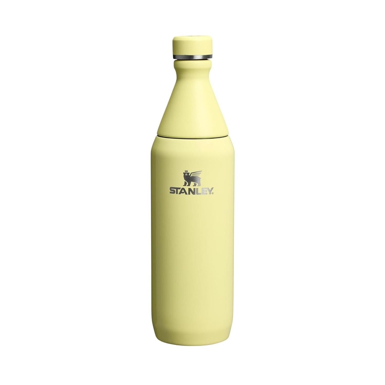 BOTELLA ACERO INOXIDABLE STANLEY ALL DAY SLIM 20 OZ - POMELO GLOSS - 1