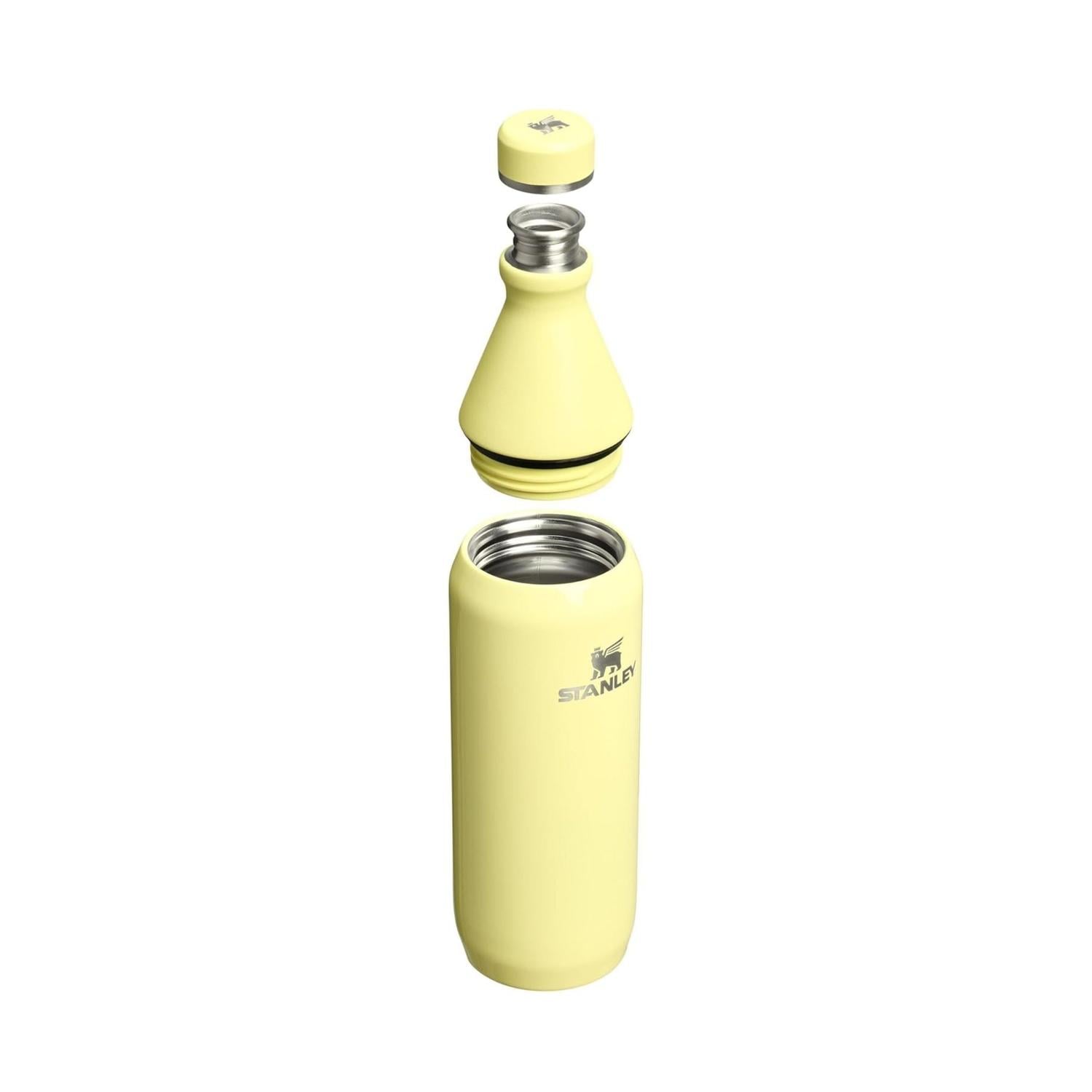 BOTELLA ACERO INOXIDABLE STANLEY ALL DAY SLIM 20 OZ - POMELO GLOSS - 2