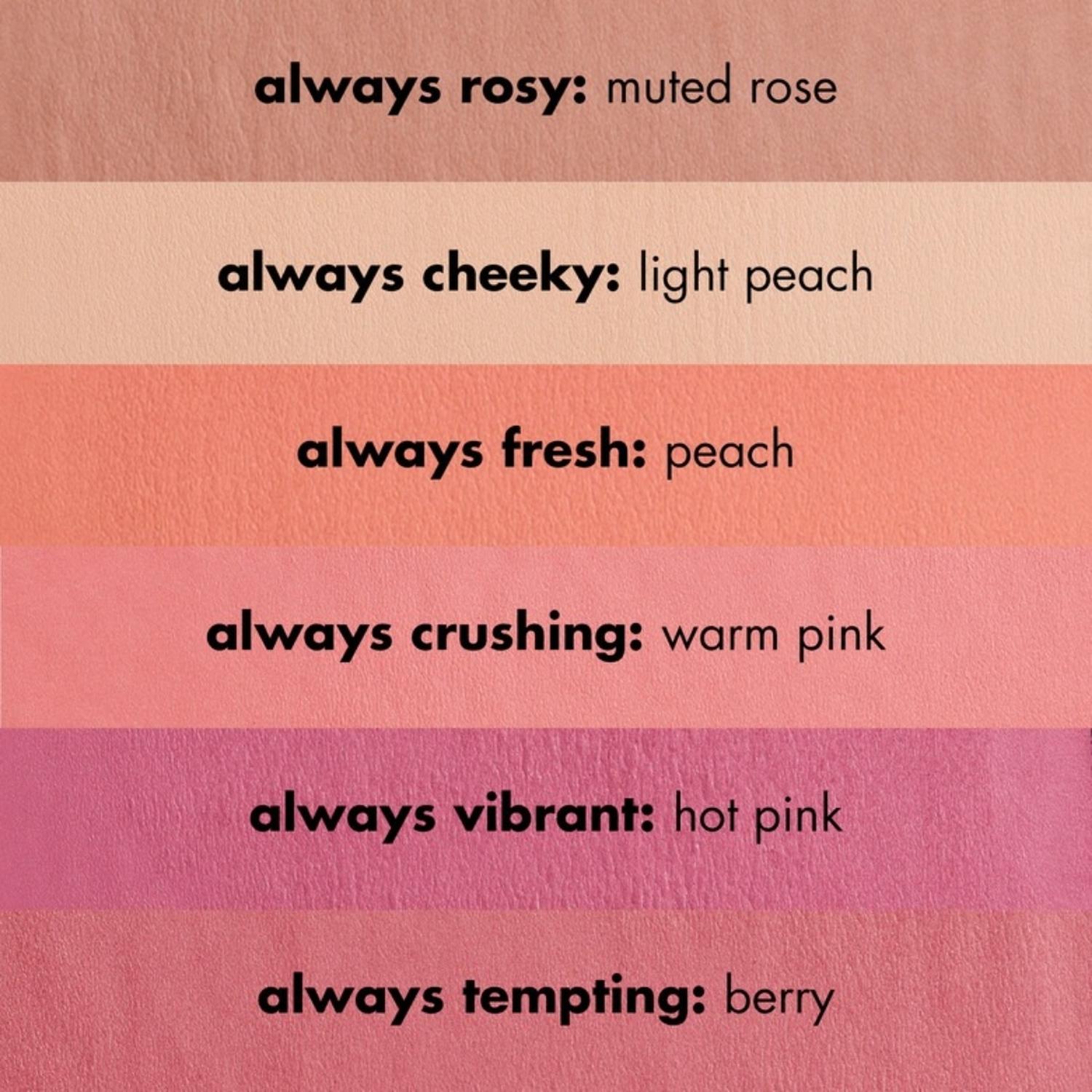 RUBOR MATTE E.L.F PRIMER-INFUSED- ALWAYS FRESH - 4