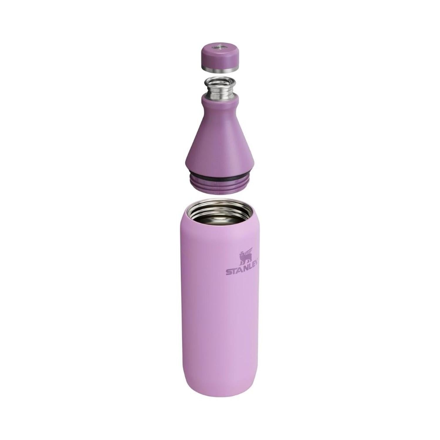BOTELLA ACERO INOXIDABLE STANLEY ALL DAY SLIM 20 OZ - LILAC - 2