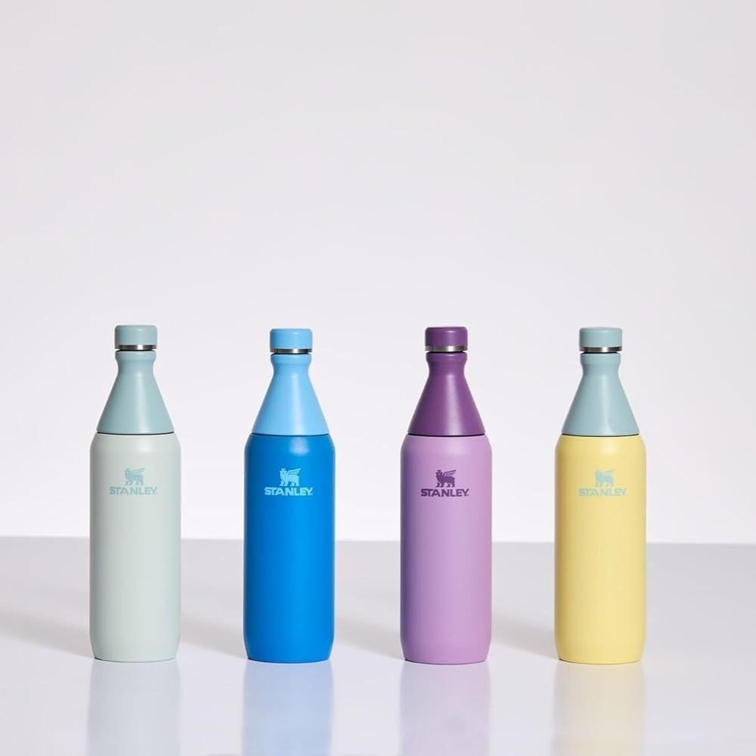 BOTELLA ACERO INOXIDABLE STANLEY ALL DAY SLIM 20 OZ - LILAC - 5