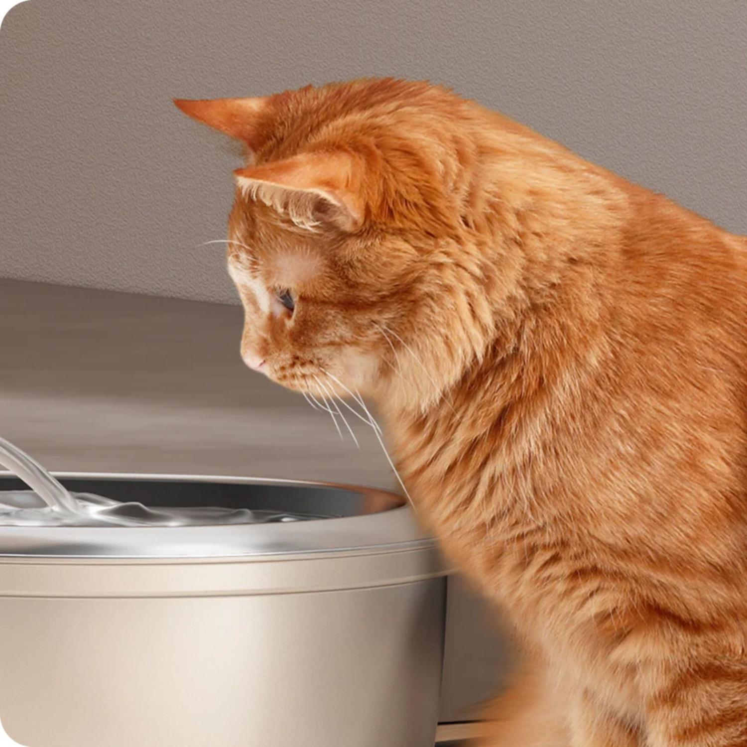 BEBEDERO O FUENTE DE AGUA AUTOMÁTICA PARA MASCOTAS PETLIBRO ACERO INOXIDABLE - 8