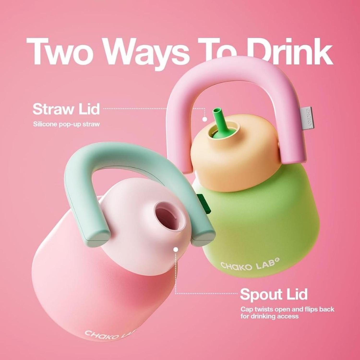 BOTELLA DE AGUA CHAKO LAB CON PAJITA Y ASA 33 OZ - ROSA - 6