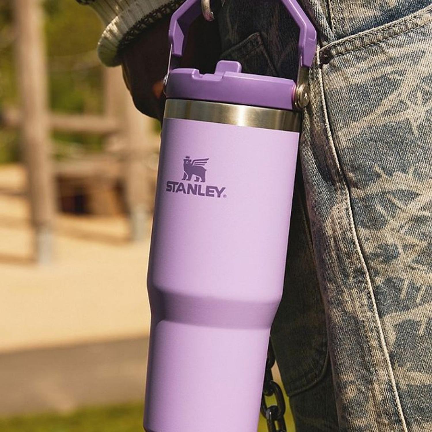 TUMBLER VASO DE ACERO INOXIDABLE STANLEY ICEFLOW 2.0 30 OZ - LILAC - 5