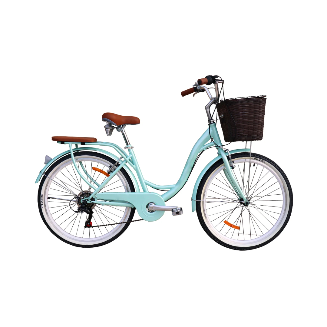 BICICLETA VINTAGE ARO 24 VERDE | SHIMANO | ESTILO CLÁSICO PREMIUM - 1