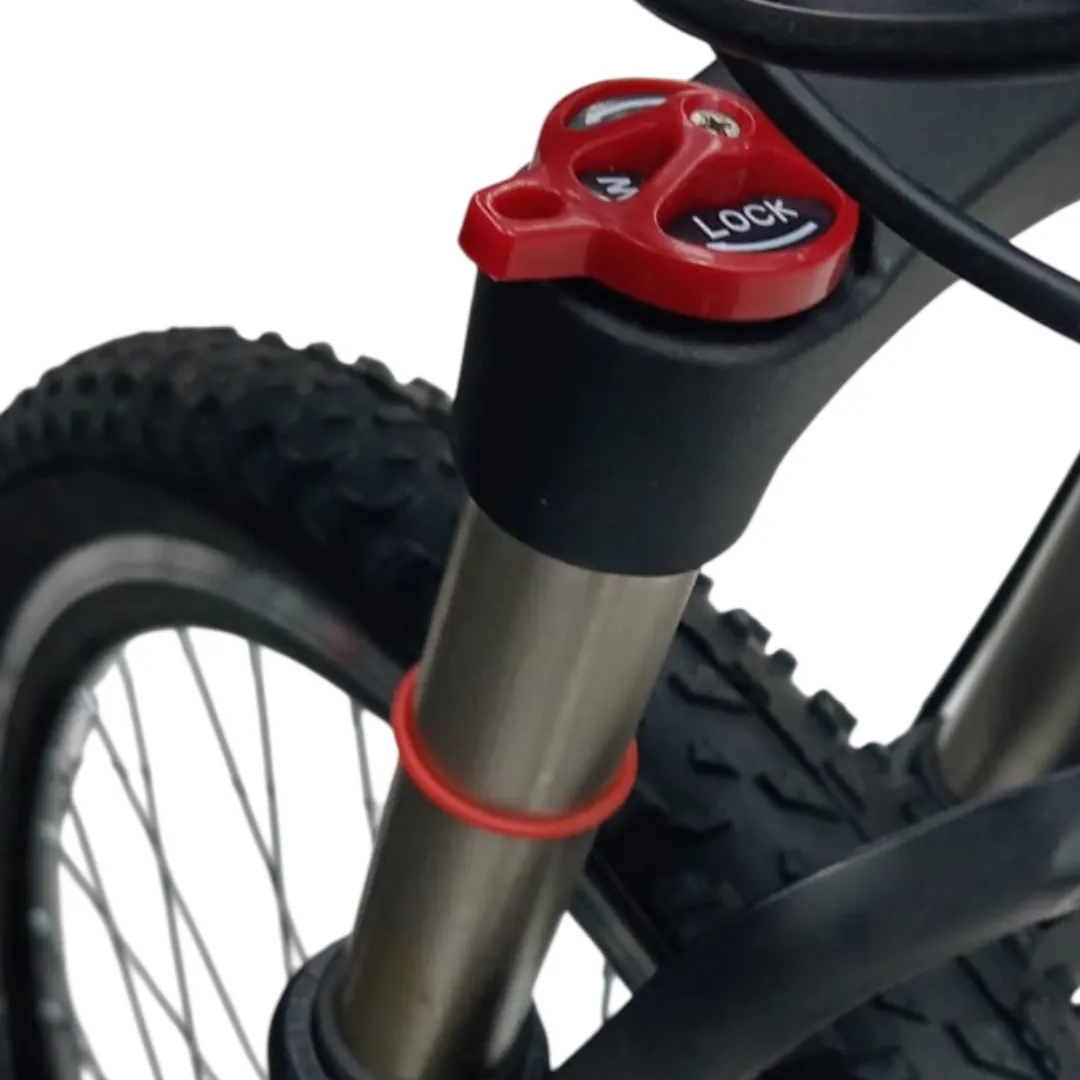 BICICLETA MONTAÑERA MADRID ARO 29 - FRENOS HIDRÁULICOS Y SHIMANO 24 VELOCIDADES - 5