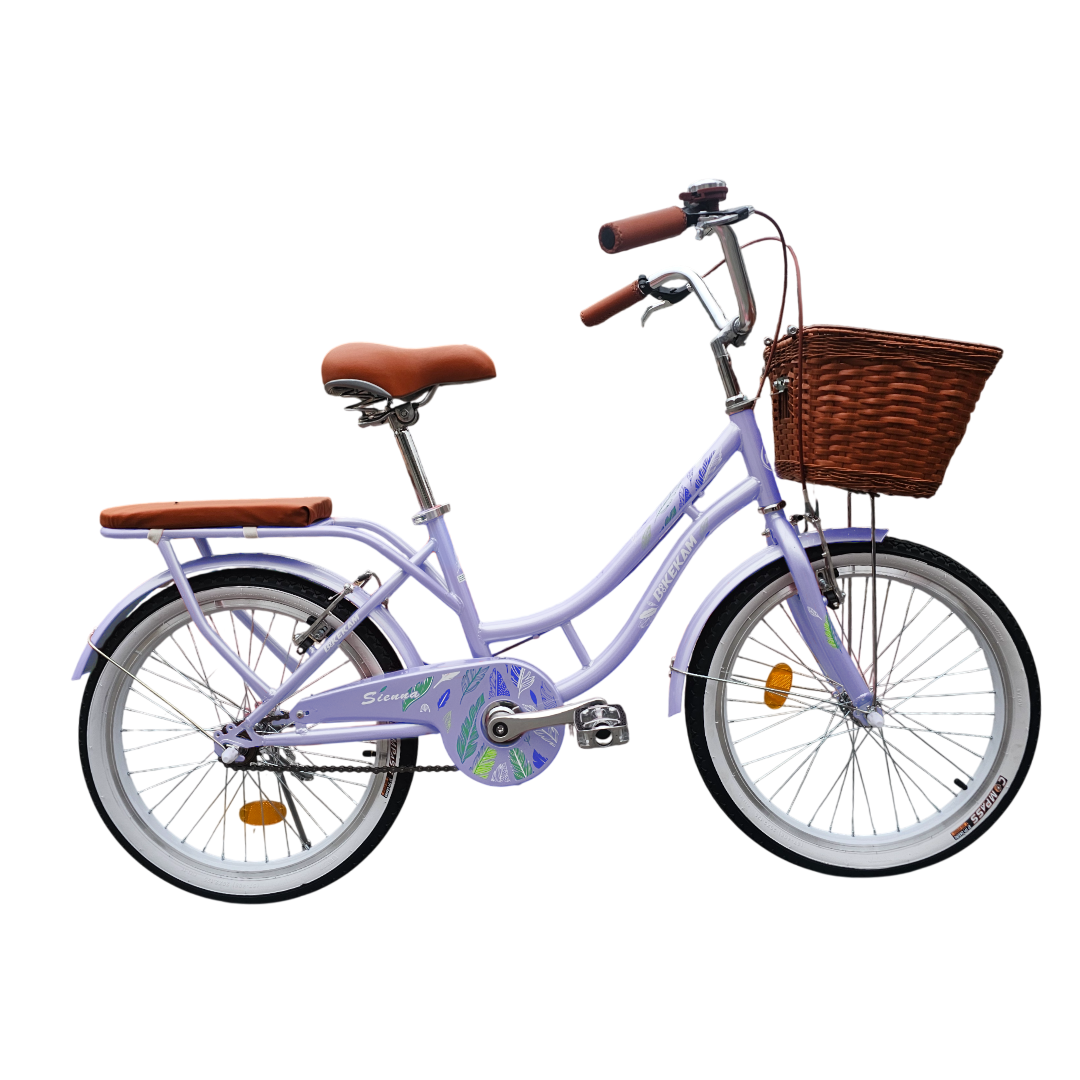 BICICLETA VINTAGE ARO 20 CON CANASTA AMPLIA Y PARRILLA - 1