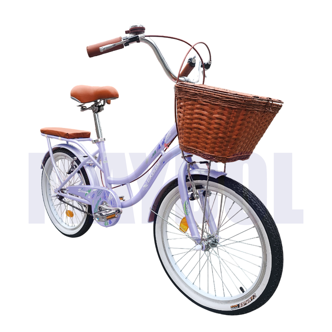 BICICLETA VINTAGE ARO 20 CON CANASTA AMPLIA Y PARRILLA - 2