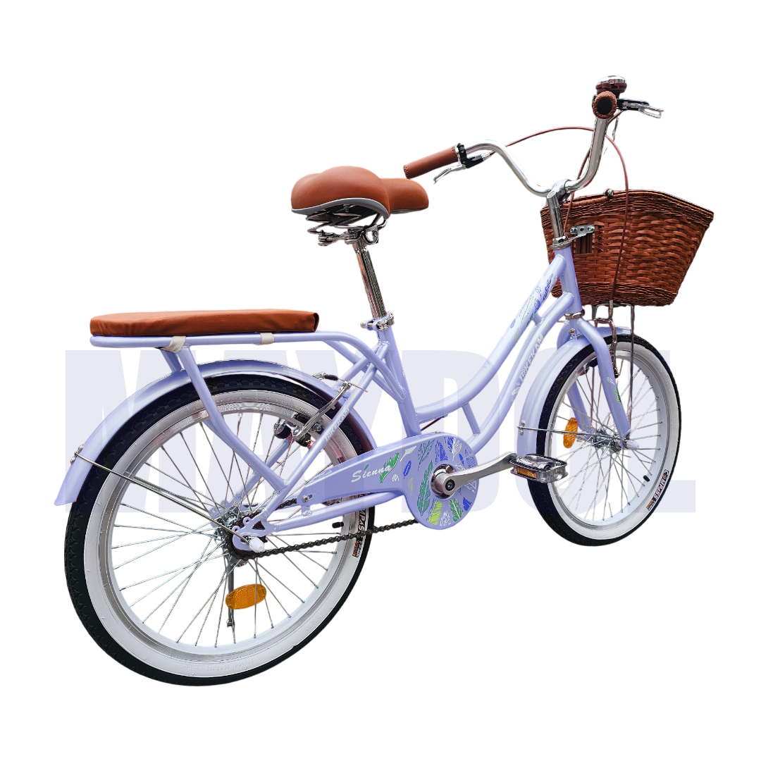 BICICLETA VINTAGE ARO 20 CON CANASTA AMPLIA Y PARRILLA - 3