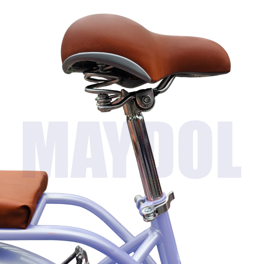 BICICLETA VINTAGE ARO 20 CON CANASTA AMPLIA Y PARRILLA - 4