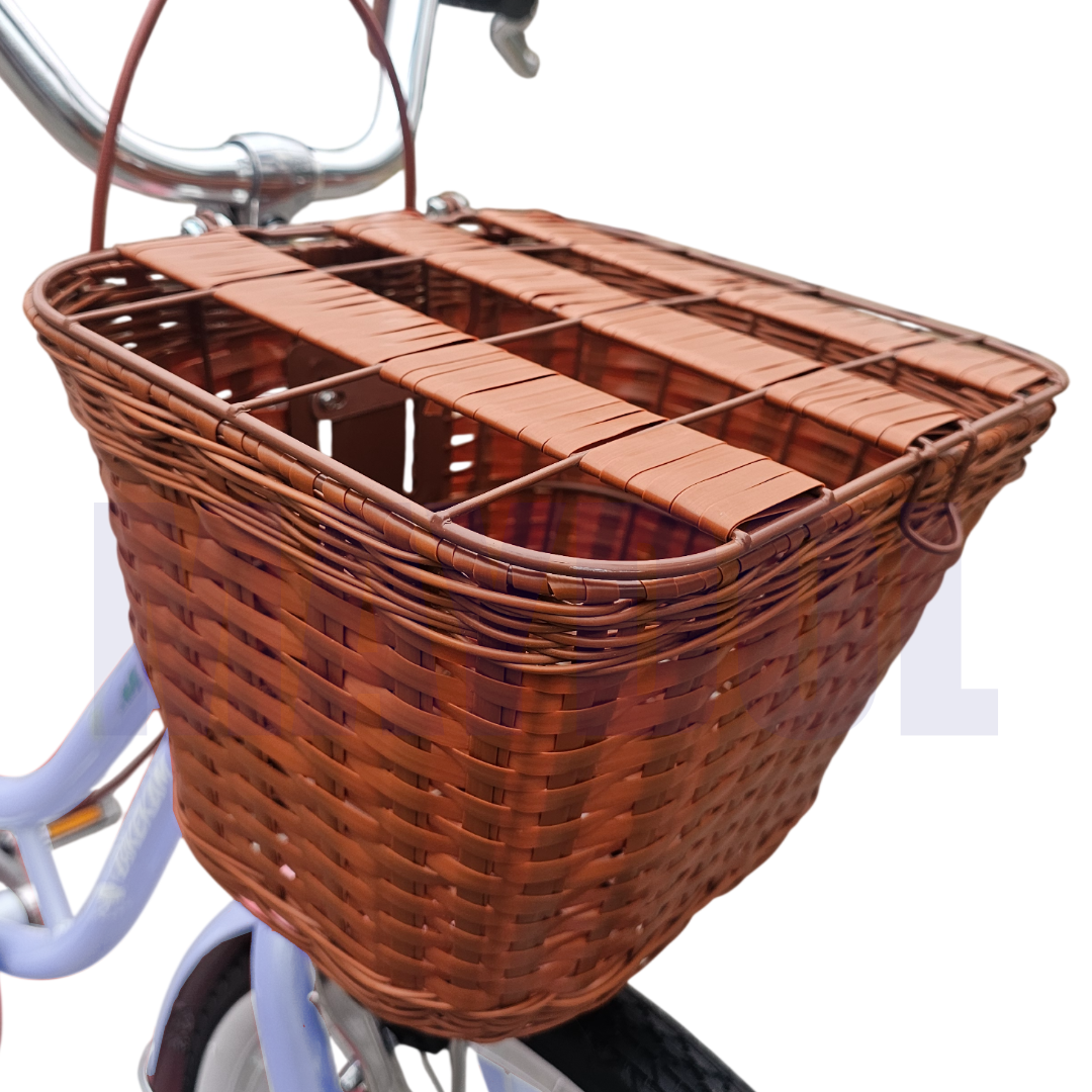 BICICLETA VINTAGE ARO 20 CON CANASTA AMPLIA Y PARRILLA - 7