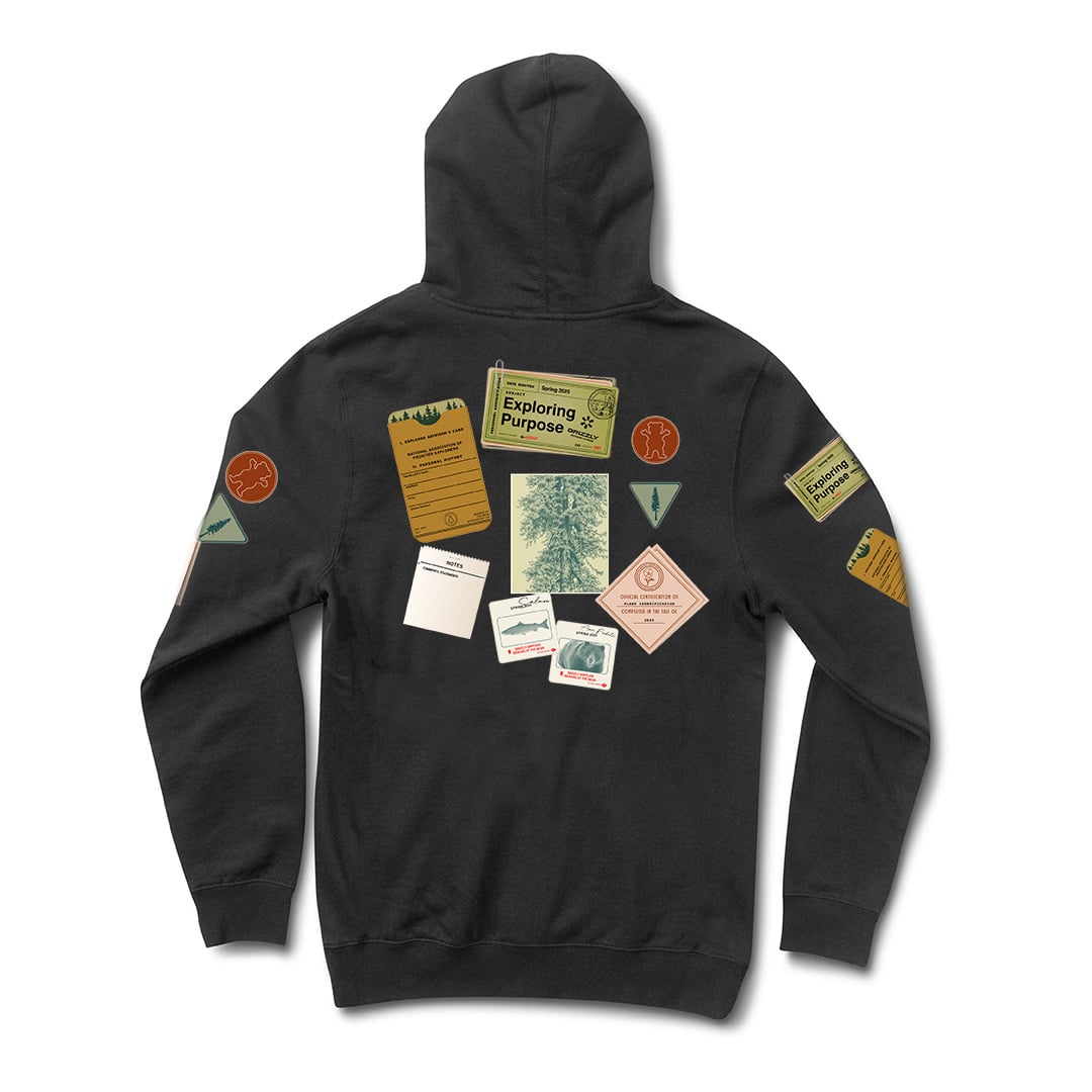 POLERÓN HOODIE MANGA LARGA GRIZZLY GRIPTAPE BULLETIN BOARD - 4