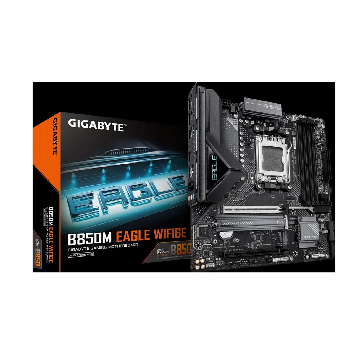 PC GAMER PRO ULTRA XTREME RYZEN 5 9600X RAM 32GB DDR5 SSD 1TB GRAFICA ASUS RTX 5070 12GB - 4
