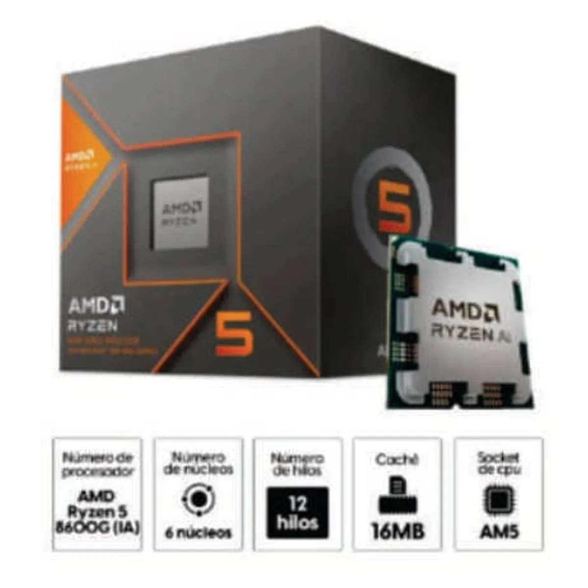 PROCESADOR AMD RYZEN 5 8600G 4.3 GHZ 16MB AM5 AMD DDR5 - 1