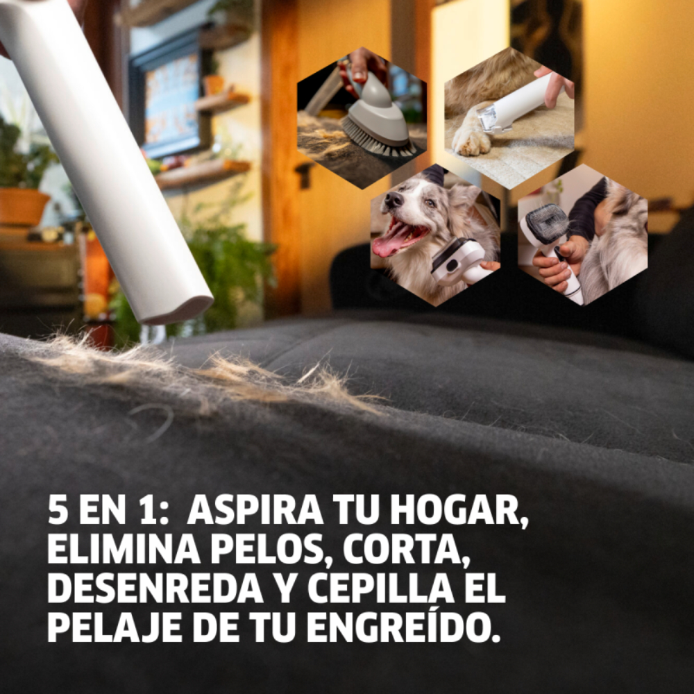 ASPIRADORA Y CORTAPELOS PARA MASCOTAS PET CLEAN 300W KÄRCHER - 5