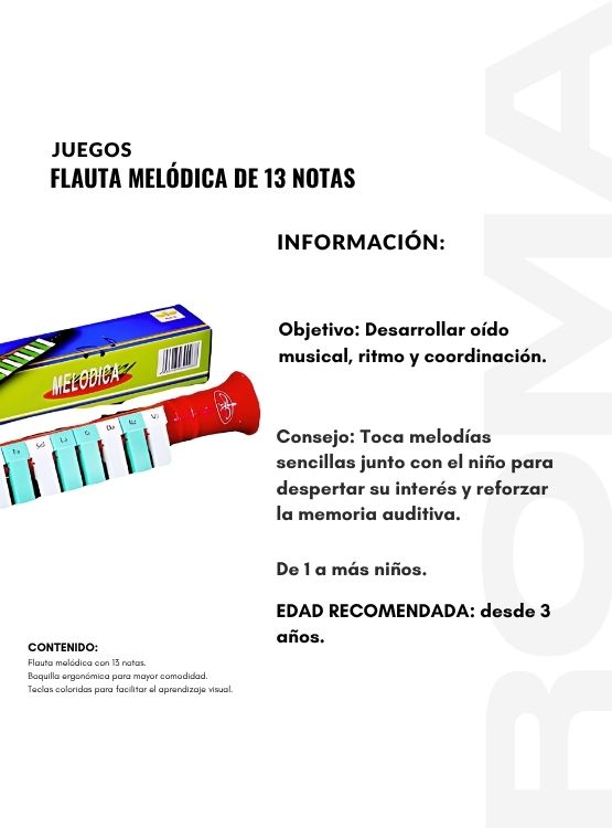 FLAUTA MELÓDICA DE 13 NOTAS - JUEGO DIDÁTICO - 2