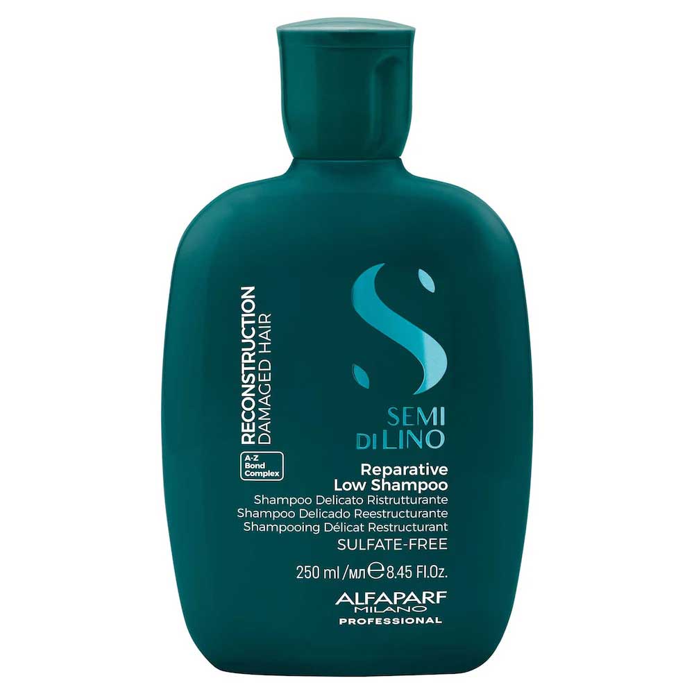 REPARATIVE LOW SHAMPOO 250ML ALFAPARF MILANO - 1