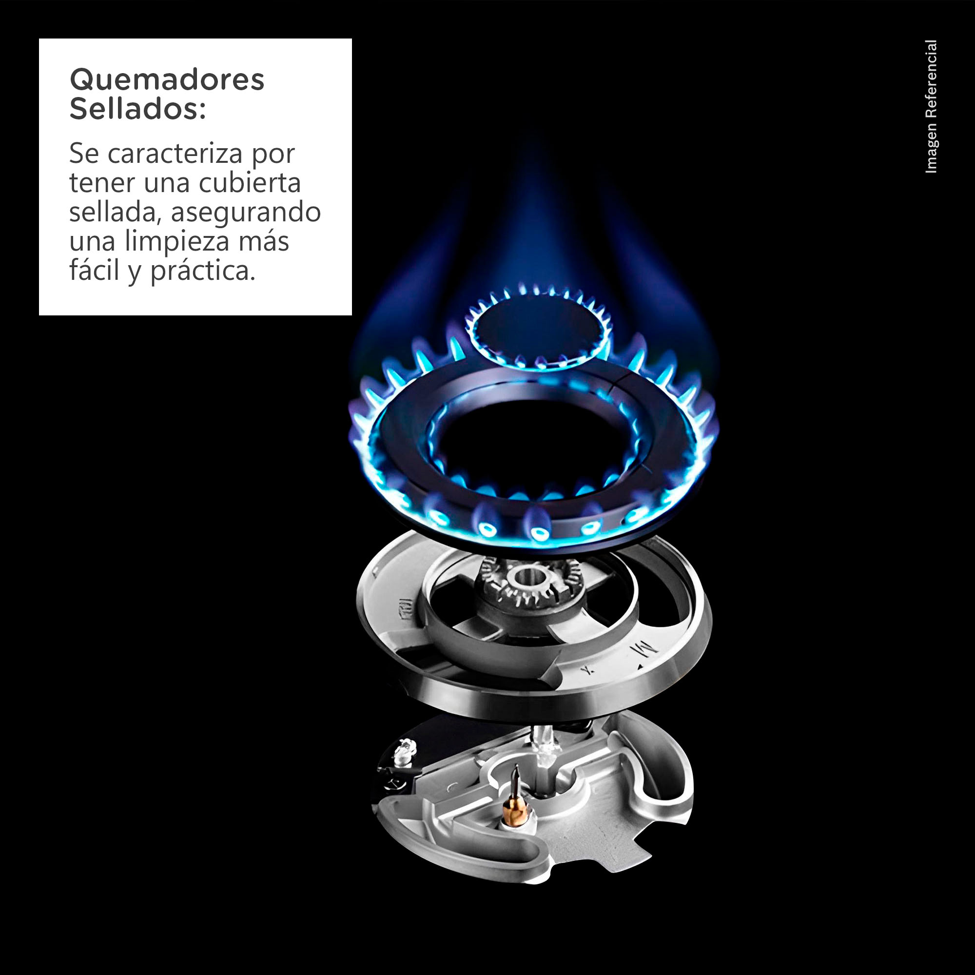 ENCIMERA EMPOTRABLE A GAS BOSCH 4 QUEMADORES PPH6A6I10 - 8