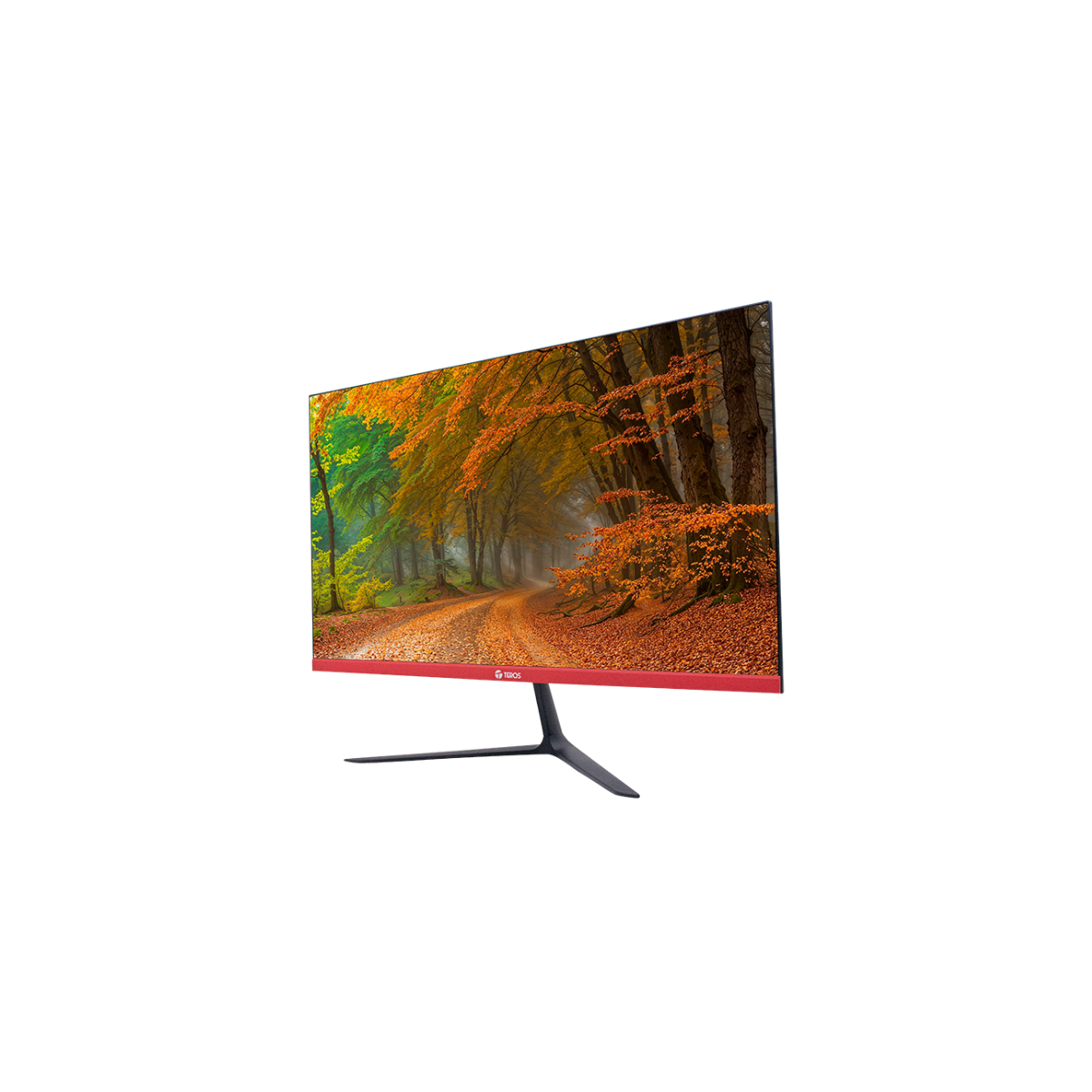 MONITOR CURVO TEROS TE-2403S 23.8″ FHD VA 144HZ 1MS HDMI DP CON PARLANTES - 2