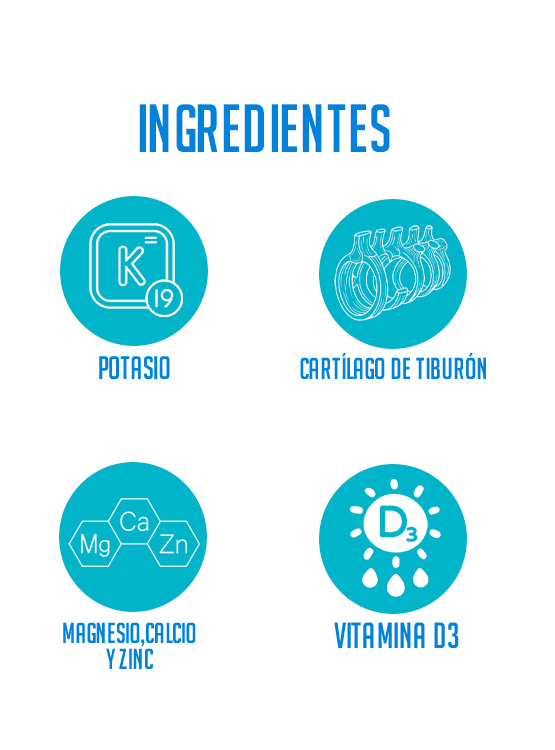 CARTÍLAGO DE TIBURÓN MD VIDA Y SALUD GOMITAS FRASCO X 60 UNIDADES SABOR PERA - 3