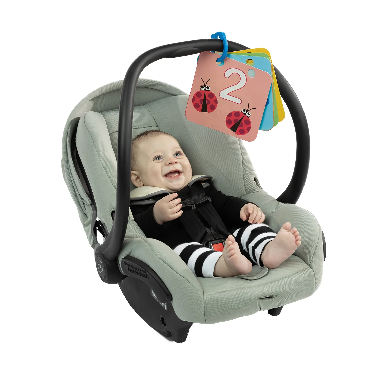 TAPETE DE ACTIVIDADES PARA BEBÉ BABY EINSTEIN DISCOVERY GARDEN - 6