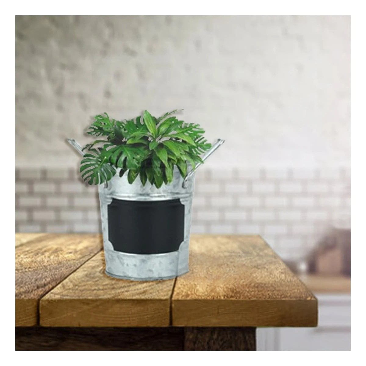 PACK6 CONTENEDOR CUBO DE METAL CON DOBLE AGARRADERA Y CUADRO PARA NOTA JARDIN Y+REGALO STICKER - 3