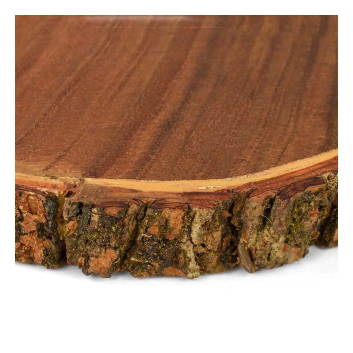 BASE CIRCULAR DE MADERA NATURAL PARA DECORACION DE CASA EN SALA Y COMEDOR Y+LIGAS REGALO - 5